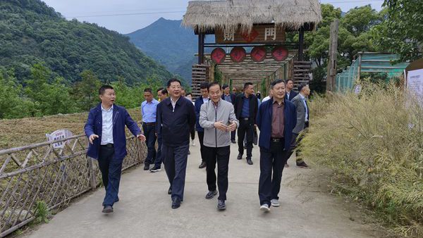 省人大常委会副主任魏晓明带队来歙调研